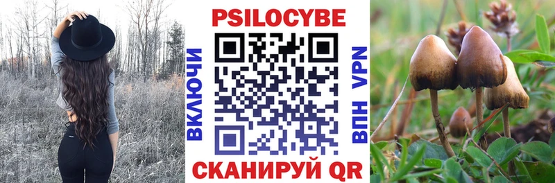 цены наркотик  Великие Луки  Галлюциногенные грибы мухоморы 